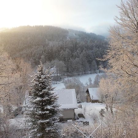 Villa Haus Vor Den Eichen Fuer Familien à Willingen  Extérieur photo