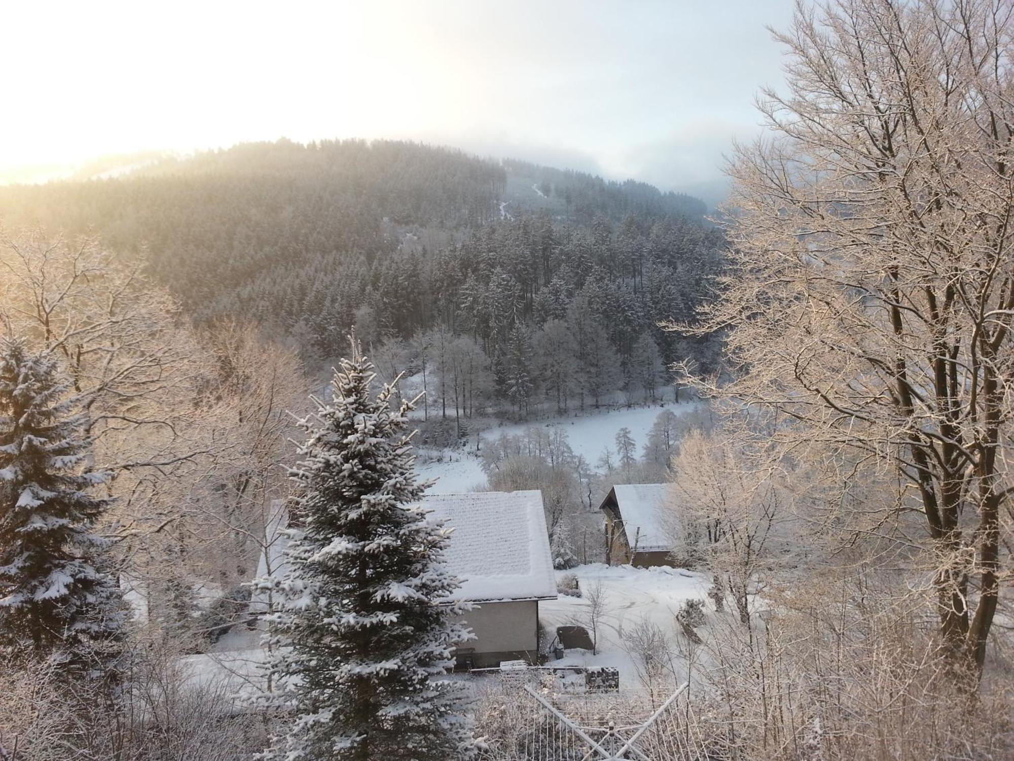Villa Haus Vor Den Eichen Fuer Familien à Willingen  Extérieur photo